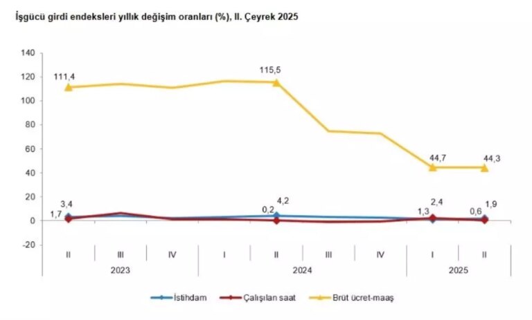 tuik-2025-2-ceyrek-is-gucu-istatistiklerini-acikladi-TsuwZmjt.jpg