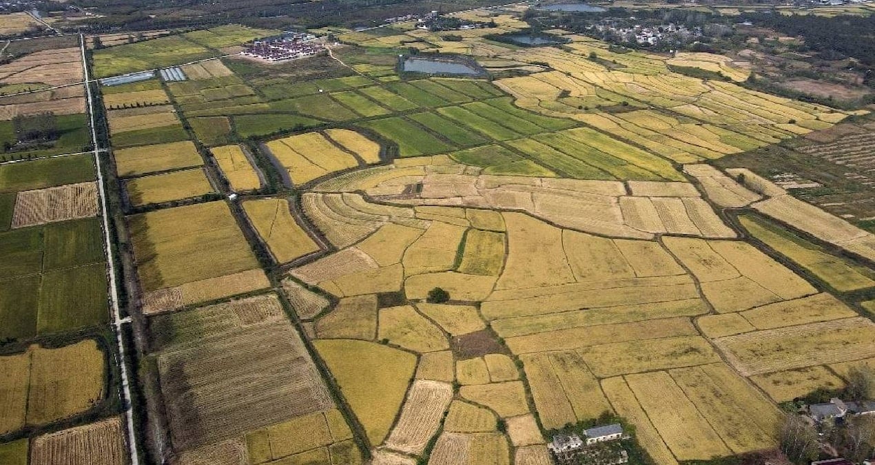 arsa alacaklar olanlar dikkat yargitaydan emsal karar B8BxcpmM