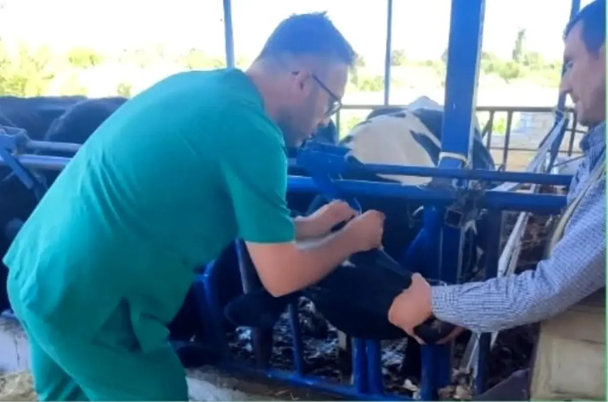 aydinda sap hastaligina karsi asi uyarisi 94CPcZSF