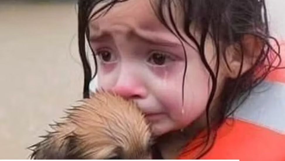 interneti dolduran yeni tehlike ai slop nedir fpPyNi3I