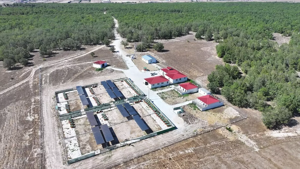 kapakliya dogal yasam alani ruhsati GXGlVsZL