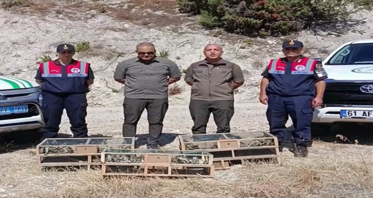 kutahyada yakalanan 142 saka kusu dogaya salindi vBwjWY3q