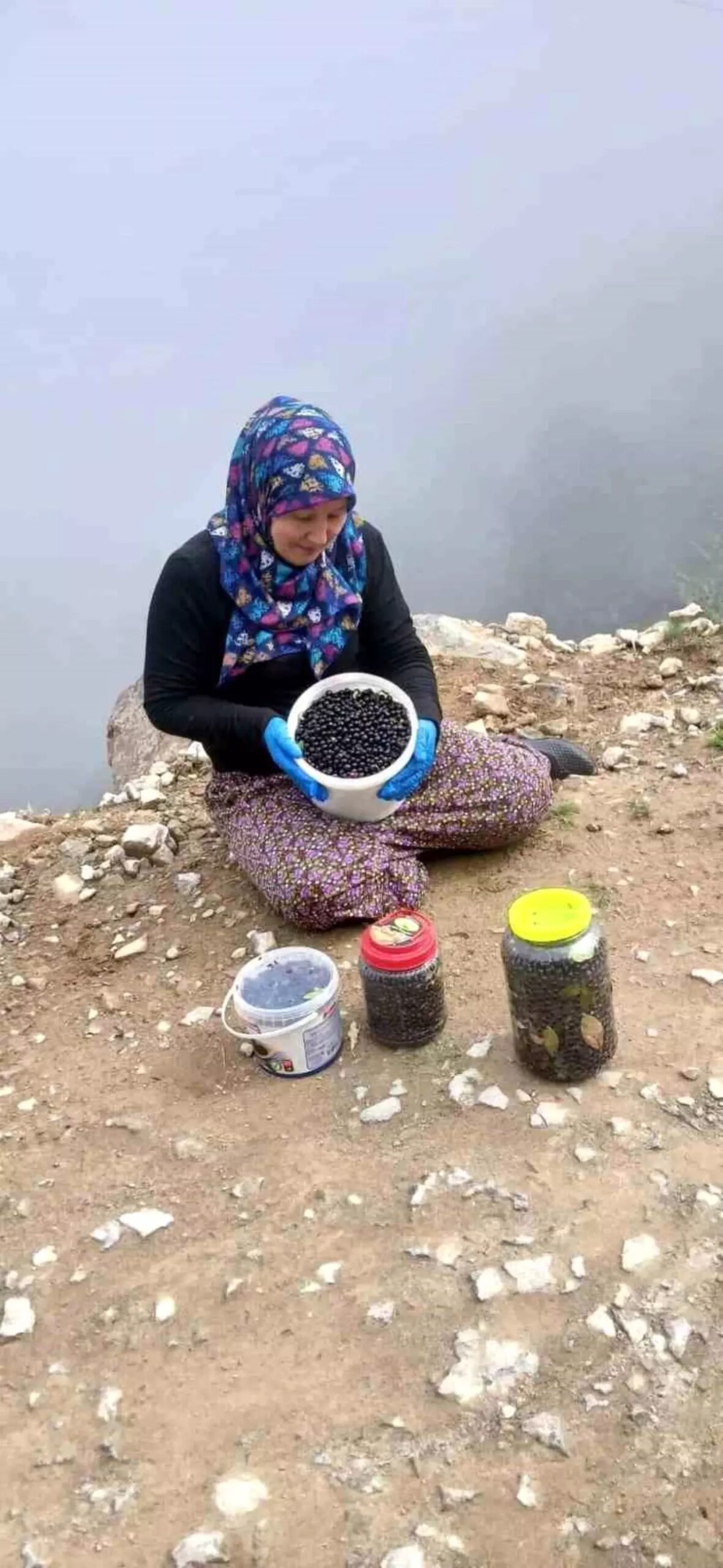 salpazari yaylalarinda sonbahar renk cumbusu meUCn53L