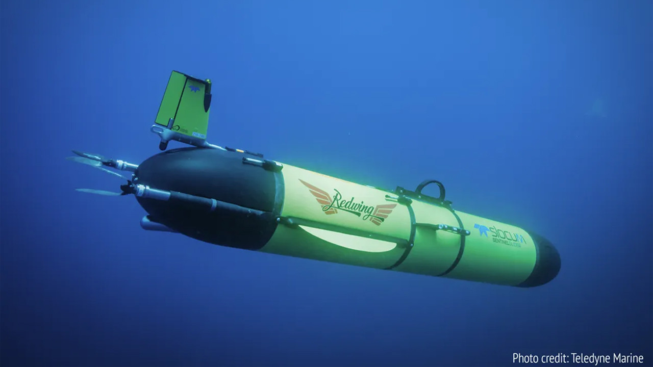 redwing okyanusun sirlarini cozmek icin 5 yillik yolcuguna basladi 8Qm8nOYQ