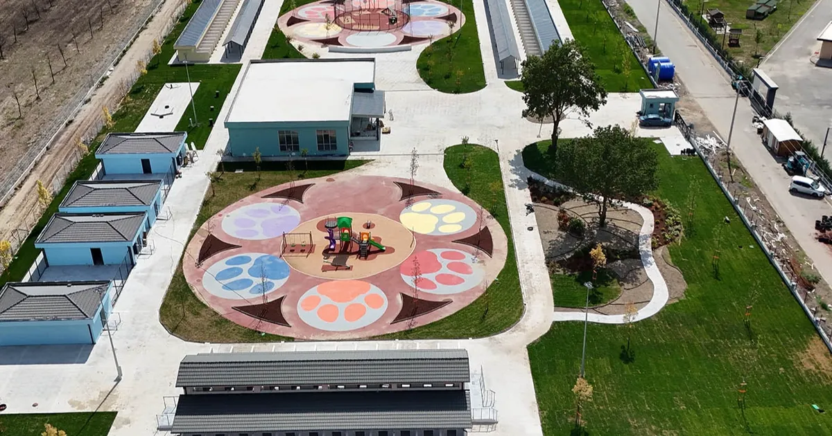 sakaryada sokak hayvanlarina guvenli yuva HmPNpm1c