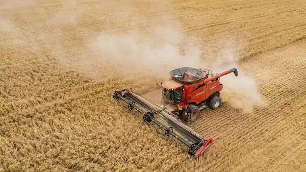 tuik eylul verilerini acikladi tarimda uretici fiyatlari yukseldi SBGHZUNm.jpg