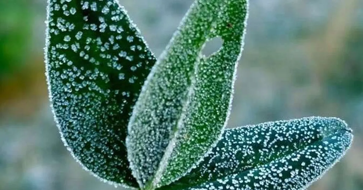 zirai dondan etkilenen ureticilere 707 milyon tl destek kT5BVVLg.webp