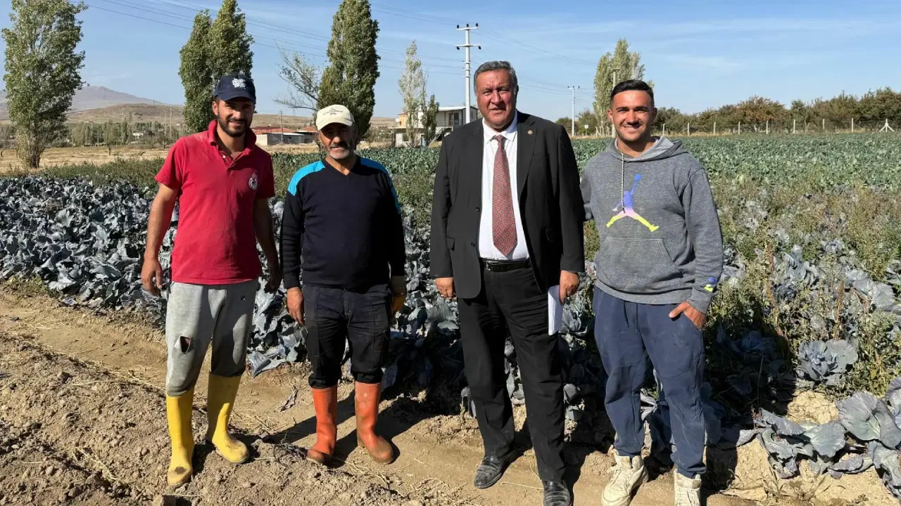 ciftci artik sigorta yaptirmiyor maliyetini karsilamadigi icin 2jJRREQy.jpg