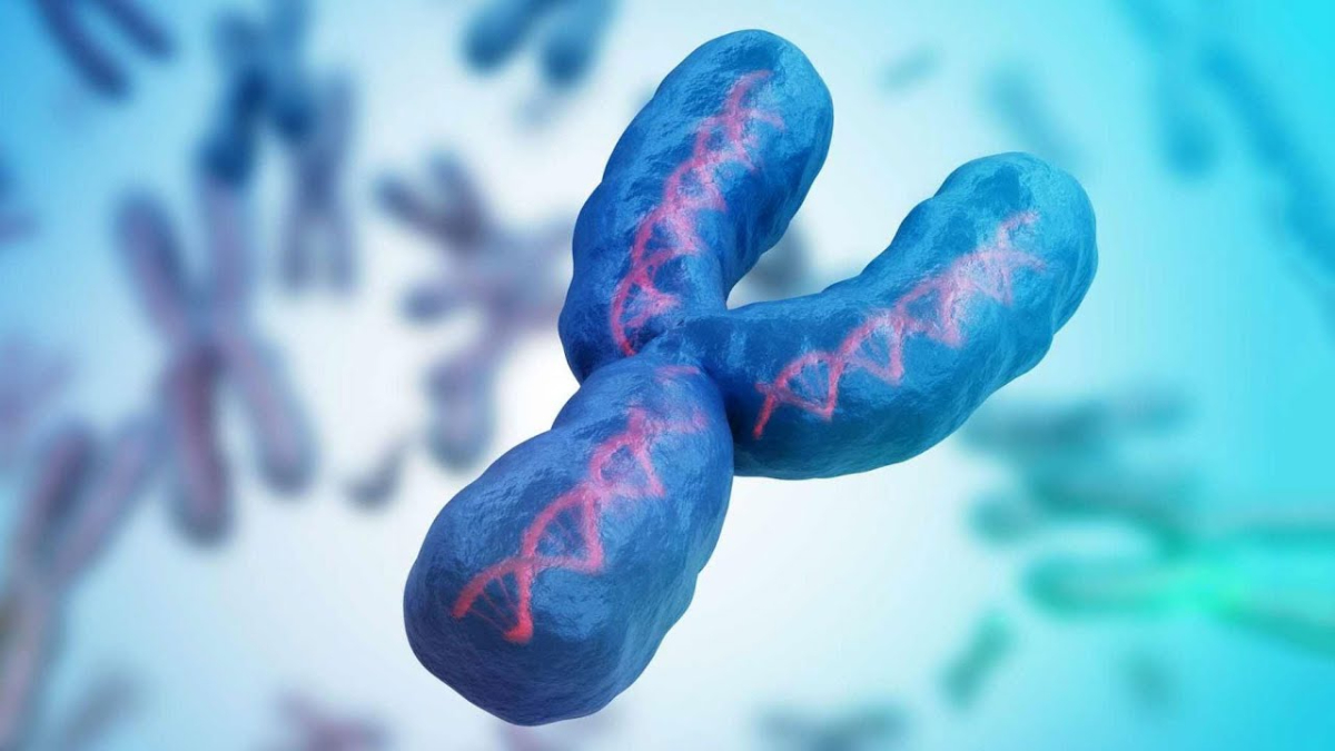 “Erkekler bitecek” iddiası! Y kromozomu yok mu olacak, neden? Bilimsel yanıtı…