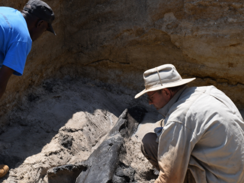 Img